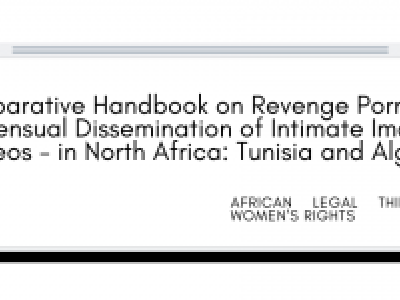 Screenshot of the handbook : "Comparative Handbook on Revenge Porn - Non-Consensual Dissemination of Intimate Images and Videos - in North Africa: Tunisia and Algeria."